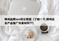 柳州品牌seo优化教程（了解一下,柳州企业产品推广效果如何??）