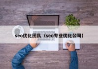 seo优化团队（seo专业优化公司）