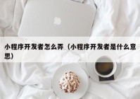 小程序开发者怎么弄（小程序开发者是什么意思）