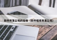 软件开发公司的名称（软件程序开发公司）