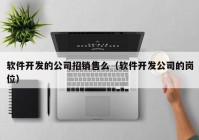 软件开发的公司招销售么（软件开发公司的岗位）