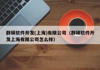 群硕软件开发(上海)有限公司（群硕软件开发上海有限公司怎么样）