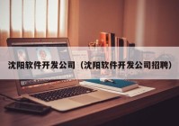 沈阳软件开发公司（沈阳软件开发公司招聘）