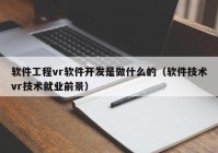 软件工程vr软件开发是做什么的（软件技术vr技术就业前景）