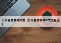 公司业务软件开发（公司业务软件开发流程图）