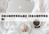 抖音小程序开发怎么通过（抖音小程序开发流程）