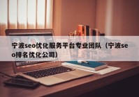 宁波seo优化服务平台专业团队（宁波seo排名优化公司）