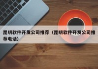 昆明软件开发公司推荐（昆明软件开发公司推荐电话）