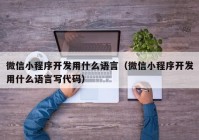 微信小程序开发用什么语言（微信小程序开发用什么语言写代码）