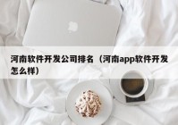 河南软件开发公司排名（河南app软件开发怎么样）