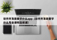 软件开发需要学什么app（软件开发需要学什么专业课和选修课）