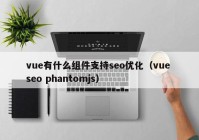 vue有什么组件支持seo优化（vue seo phantomjs）