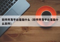 软件开发平台是指什么（软件开发平台是指什么软件）