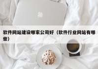 软件网站建设哪家公司好（软件行业网站有哪些）