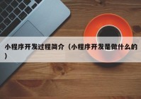 小程序开发过程简介（小程序开发是做什么的）