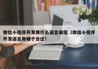 微信小程序开发用什么语言编程（微信小程序开发语言用哪个合适）