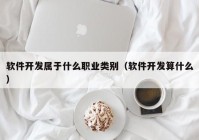 软件开发属于什么职业类别（软件开发算什么）