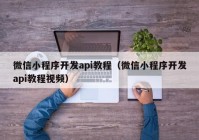 微信小程序开发api教程（微信小程序开发api教程视频）