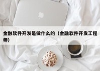 金融软件开发是做什么的（金融软件开发工程师）