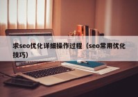 求seo优化详细操作过程（seo常用优化技巧）