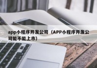 app小程序开发公司（APP小程序开发公司能不能上市）