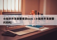 小程序开发需要用到ssm（小程序开发需要代码吗）