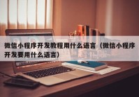 微信小程序开发教程用什么语言（微信小程序开发要用什么语言）