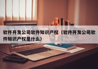 软件开发公司软件知识产权（软件开发公司软件知识产权是什么）