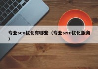 专业seo优化有哪些（专业sem优化服务）