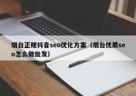 烟台正规抖音seo优化方案（烟台优质seo怎么做批发）